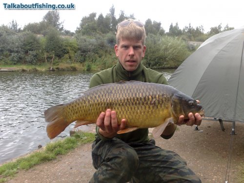 13lb from roundwood