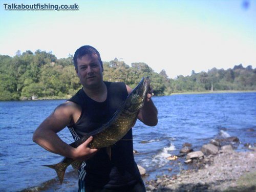caught on predator spray