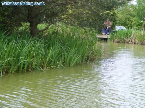 KJS Fisheries - Carp Pond