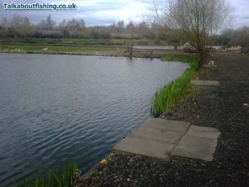 Roundwood Ponds - Rotherham