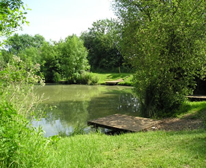 Fishery Image