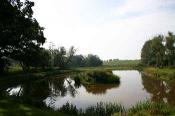 Fishery Image