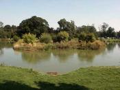 Fishery Image