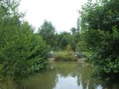 Fishery Image