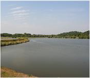 Fishery Image