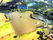 Fishery Image
