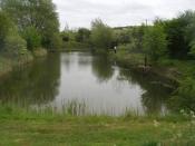 Fishery Image