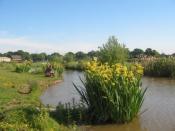 Fishery Image